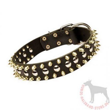Halsband für Hunde aus Leder mit Spikes und Nieten