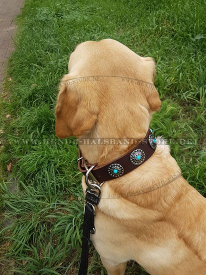Hundehalsband Leder Breit mit Blauen Steinen