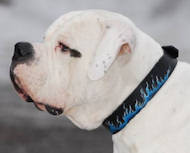 Blaue Flamme Bemaltes Hundehalsband für American Bulldog