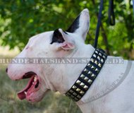 Hundehalsband Leder für Bullterrier mit 3 Reihen der Pyramiden