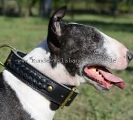 Hundehalsband Leder für Bullterrier geflochten
