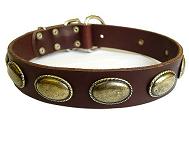 Besonders Hundehalsband aus Leder Besonders Hundehalsband aus Leder