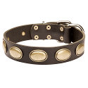 Schoenes Hundehalsband mit Schmuck Schoenes Hundehalsband mit Schmuck