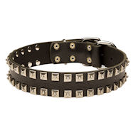 Breites Hundehalsband Leder mit quadratischen Nieten Breites Hundehalsband Leder mit quadratischen Nieten