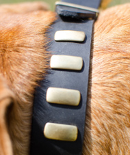 Hundehalsband Leder für Bordeauxdogge im Goldfarbigem Stil ⚛