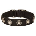Hundehalsband Silber Schmuck Hundehalsband Silber Schmuck