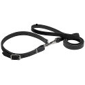 Satz aus ein Hundehalsband und ein Hundeleine Satz aus ein Hundehalsband und ein Hundeleine