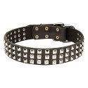 Hunde Halsband Leder mit Schmuck Hunde Halsband Leder mit Schmuck