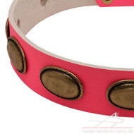 Rosa Halsband Hund Für Auslauf Und Spaß ✳ ✴ ✳ ✴ Rosa Halsband Hund Für Auslauf Und Spaß ✳ ✴ ✳ ✴