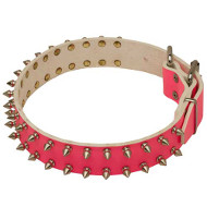 Hundehalsband Rosa Fein | Lila Halsband mit Spikes in 2 Reihen Hundehalsband Rosa Fein | Lila Halsband mit Spikes in 2 Reihen