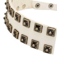 Hundehalsband Weiß Nieten | Nieten Halsband Weiß Leder ❃ Hundehalsband Weiß Nieten | Nieten Halsband Weiß Leder ❃