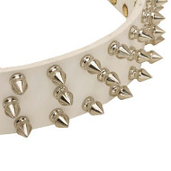 Hundehalsband Weiß mit Spikes | Elegantes Halsband Weiss ⚜ Hundehalsband Weiß mit Spikes | Elegantes Halsband Weiss ⚜
