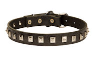 Raupe Hundehalsband Leder mit quadratischen Nieten, 25mm Raupe Hundehalsband Leder mit quadratischen Nieten, 25mm