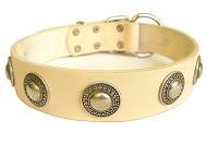 Breites Hundehalsband Leder, Silber-Concho für große Hunderass Breites Hundehalsband Leder, Silber-Concho für große Hunderass
