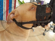 Belüfteter Hundemaulkorb aus Leder für Pitbull