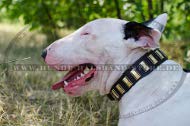 Design Hundehalsband aus Leder für Bullterrier