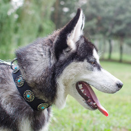 Hundehalsband mit Blauen Steinen | Nietenhalsband für Malamute