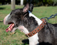 Hundehalsband Leder mit Pyramiden für Bullterrier Stil