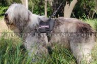 Südrussischer Schäferhund exklusives Brustgeschirr aus Nylon