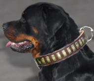 Handgearbeitet Rotti Halsband aus Leder mit Messingschildern
