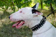 Hundehalsband aus Nylon mit Spikes für Bullterrier