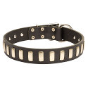 Halsband Leder fuer den Hund mit Messing-Platten Halsband Leder fuer den Hund mit Messing-Platten