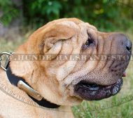 Hunde Halsband aus Leder mit ID-Tag