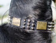 Lederhalsband mit 3 Arten vom Schmuck für Schweizer Sennenhund