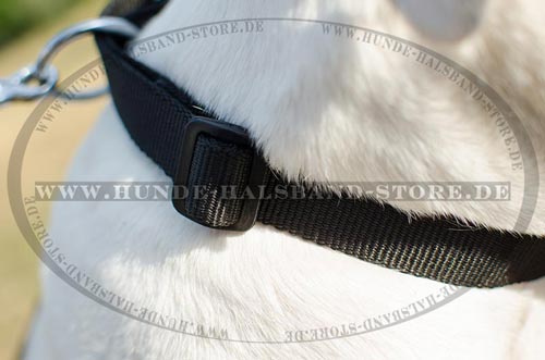 Hundehalsband 40 mm breit und super praktisch