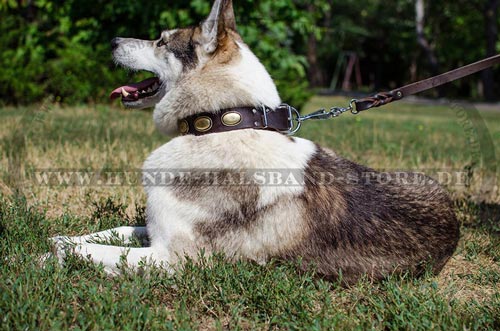 Halsband für Husky mit Schmuck aus Messing