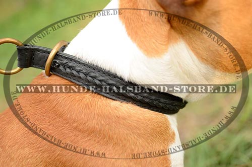 Hundehalsband mit Flechten