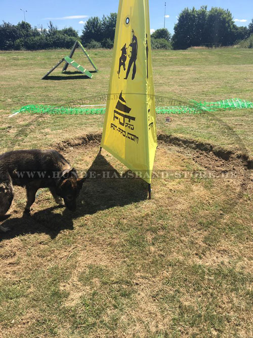 Schutzhund
Training Versteck sicher
