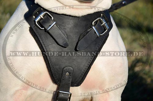 Hundegeschirr aus echtem Leder