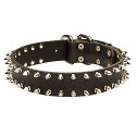 Hunde Halsband Leder mit Nieten Hunde Halsband Leder mit Nieten