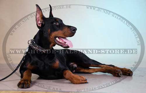 Dog Collar with Paint, Doberman Collar Leather Wide