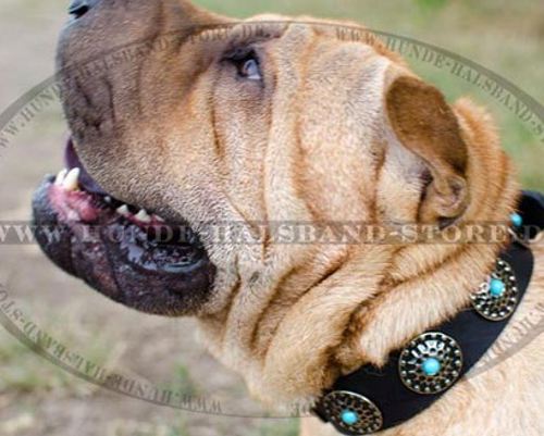 Hundehalsband mit Blauen Steinen für Shar-Pei