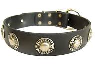 Breites Hundehalsband Leder mit Silber-Concho Breites Hundehalsband Leder mit Silber-Concho