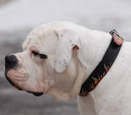 Bestseller Rote Flamme Bemaltes Hundehalsband für American Bulldog