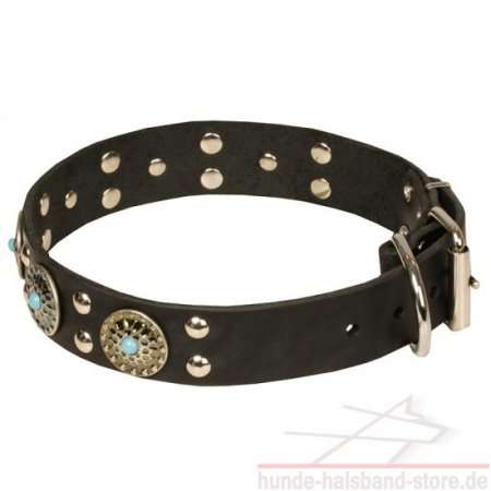 Unglaubliches Hunde Halsband Leder