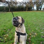 Drahtmaulkorb für Boerboel- die besten Hunde Maulkörbe