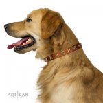 Nietenhalsband aus echtem Leder von FDT Artisan_6