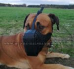 Fester Ledermaulkorb mit Stahlschienen "Dondi Plus" für Boerboel Mastiff