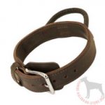 Agitation Collar for K9 Dogs