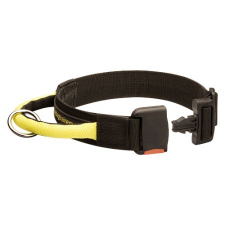 Nylon Hundehalsband mit Verschluss und dem Griff