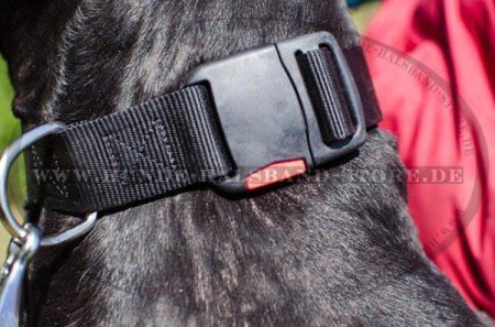 Hundehalsband mit patentiertem Schnellverschluss