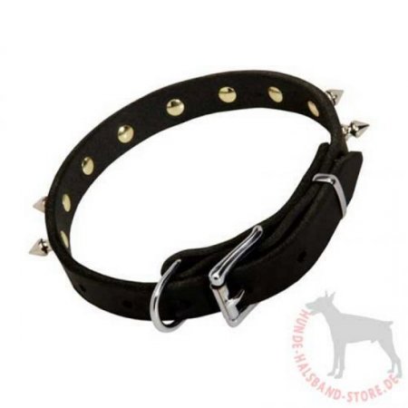Dog Collar Leather with Silver Spikes | Spiked Dog Collar, 19mm