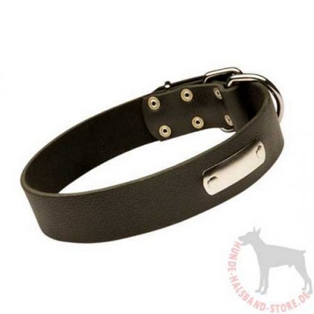 Hunde Halsband aus Leder mit ID-Tag