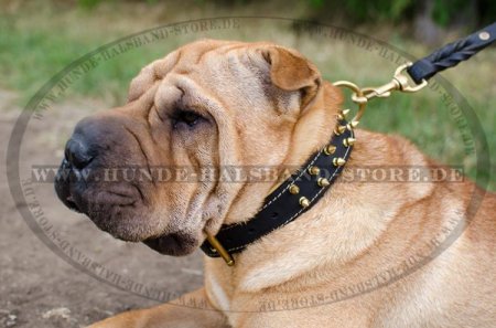 Exklusiv geschmücktes Lederhalsband mit Nappa-Leder gepolstert