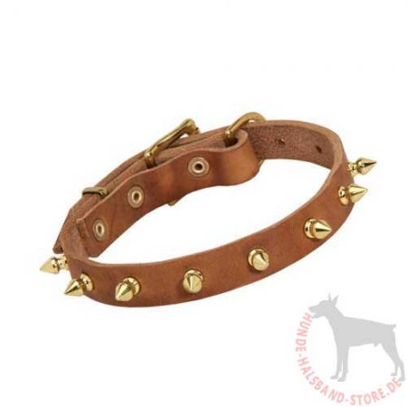 Bestseller Hundehalsband Leder für Französische Bulldogge