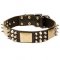 Gorgeous Spiked Leather Dog Collar with Massive Plates
